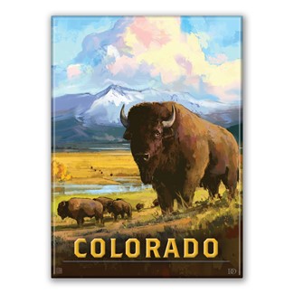 Colorado Bison Magnet