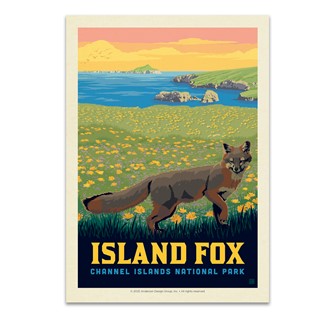 Channel Islands NP Island Fox Postcard