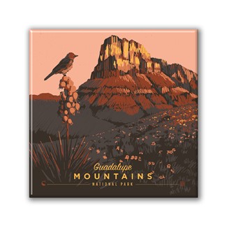 Guadalupe Mountains NP Early Bird Square Magnet