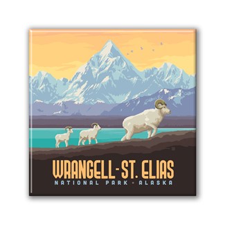 Wrangell-St. Elias NP Dall Sheep Square Magnet