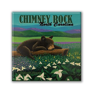 Chimney Rock NC Wildflower Square Magnet