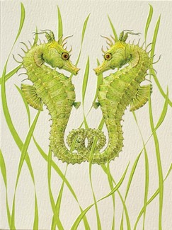 Seahorse Duo