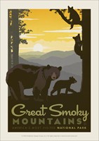 Great Smoky Mama Bear & Cubs Vinyl Magnet