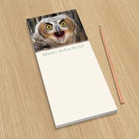 Horned Owlet