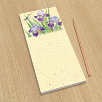 Iris Interlude