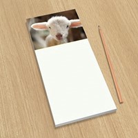 Hello World