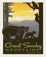 Great Smoky Mama Bear & Cubs 8" x 10" Print