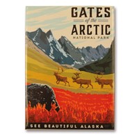 Gates of Arctic National Park Metal Magnet