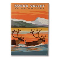 Kobuk Valley Metal Magnet