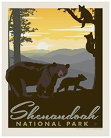 Shenandoah Mama Bear & Cubs 8"x10" print