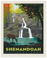 Shenandoah Dark Hollow Falls 8"x10" Print