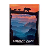 Shenandoah Bear Crossing Metal Magnet