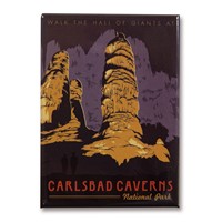 Carlsbad Caverns Metal Magnet