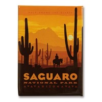 Saguaro Metal Magnet