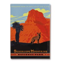Guadalupe Mountains Metal Magnet