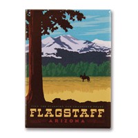 Flagstaff, AZ Metal Magnet