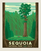 Sequoia 8" x10" Print