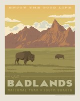 Badlands NP 8" x 10" Print