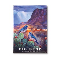 Big Bend Desert Perch Metal Magnet