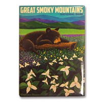 Great Smoky Wildflower Heaven Metal Magnet