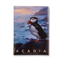 Acadia NP Puffin Magnet