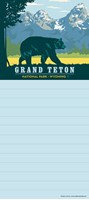 Grand Teton Black Bear