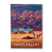 Death Valley Living It Up Metal Magnet