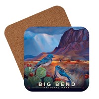 Big Bend Desert Perch Coaster