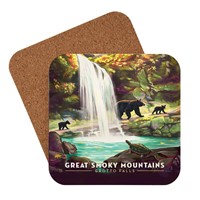 Great Smoky Grotto Falls Coaster