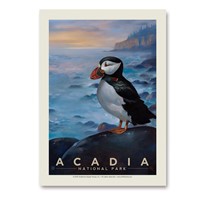 Acadia NP Puffin Vert Sticker