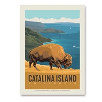 Catalina Bison Vert Sticker