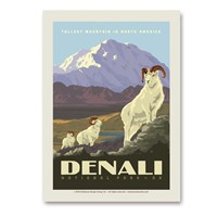 Denali Dall Sheep Vert Sticker