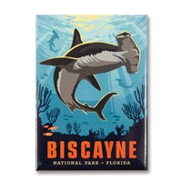 Biscayne NP Hammerhead Shark Magnet