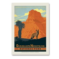 Guadalupe Mountains Vert Sticker