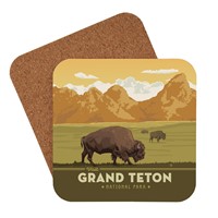 Grand Teton Enjoy Coaster