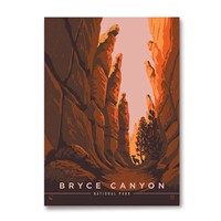Bryce Canyon Towering Hoodoos Magnet