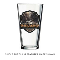 Black Canyon of the Gunnison NP Shadowlands Emblem Pub Glass