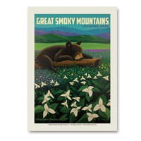 GSMNP Wildflower Heaven Vert Sticker