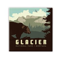 Glacier NP Bear Square Magnet