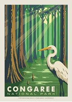 Congaree Postcard