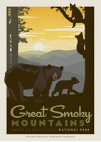 Great Smoky Mama Bear & Cubs Postcard