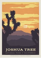 Joshua Tree Postcard