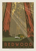 Redwood Postcard