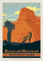 Guadalupe Mountains Postcard