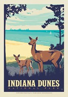 Indiana Dunes Postcard