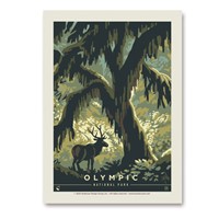 Olympic NP Deep in the Forest Vert Sticker