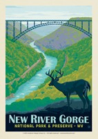 New River Gorge NP & Preserve Postcard
