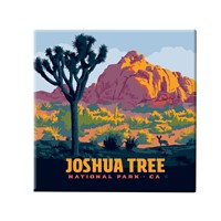 Joshua Tree NP Jack Rabbit Square Magnet