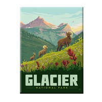 Glacier National Park Bighorn Sheep Magnet