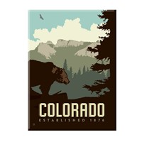 Black Bear Colorado Magnet